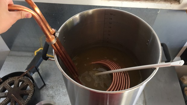 10_oatsVSnoats_chilling