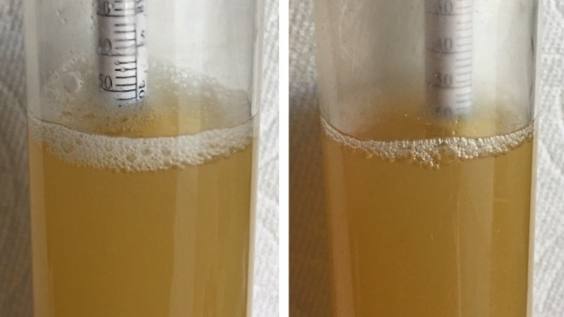 11_oatsVSnoats_oatsOGnoats