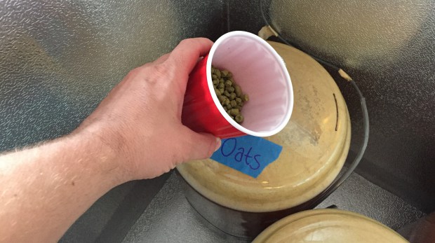 13_oatsVSnoats_biotransDHday2