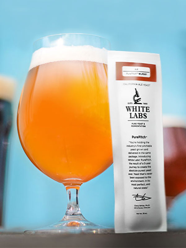 5-Facts-About-Yeastfeature