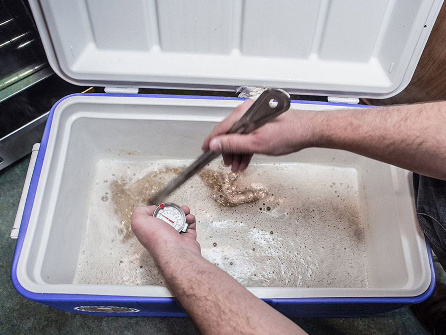 Malt Enzymes Homebrewing