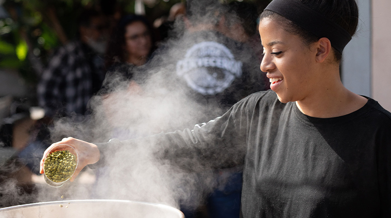 FermentationPage-Brew