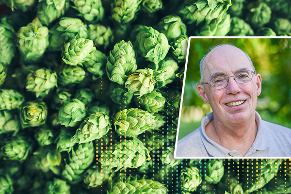 fresh-hop-cones-and-stan-hieronymus
