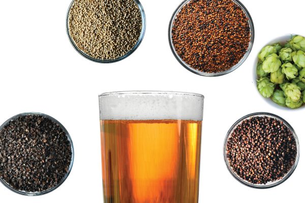 gluten-free beer ingredients