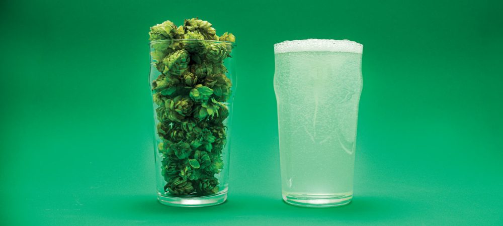 Two glasses, one filled with hops and the other with seltzer