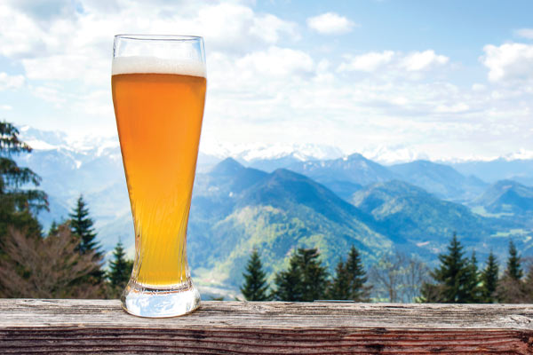 Beer with mountains in the background