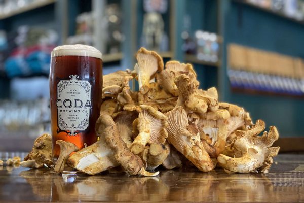 mushroom beer recipe