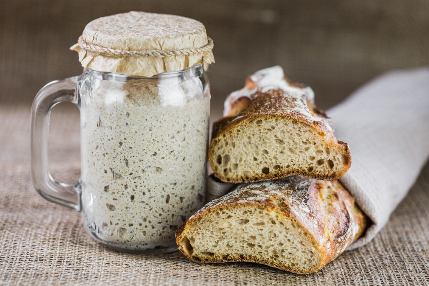 sourdough bread starter