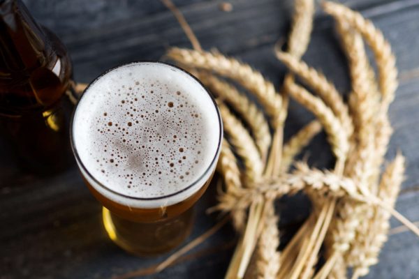 frothy beer with wheat
