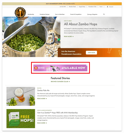 aha-advertising-homepage-1