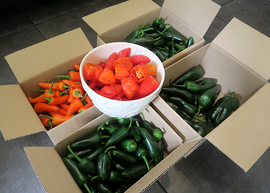 peppers used for hot sauce