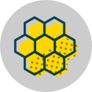 icon_honey