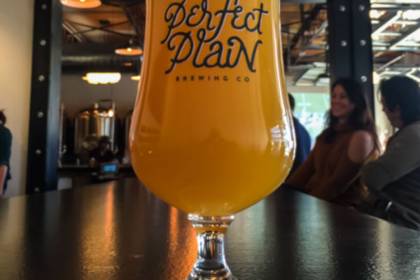 Perfect-Plain-Brewing-Holy-Spin-American-IPA